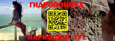 стафф Краснознаменск